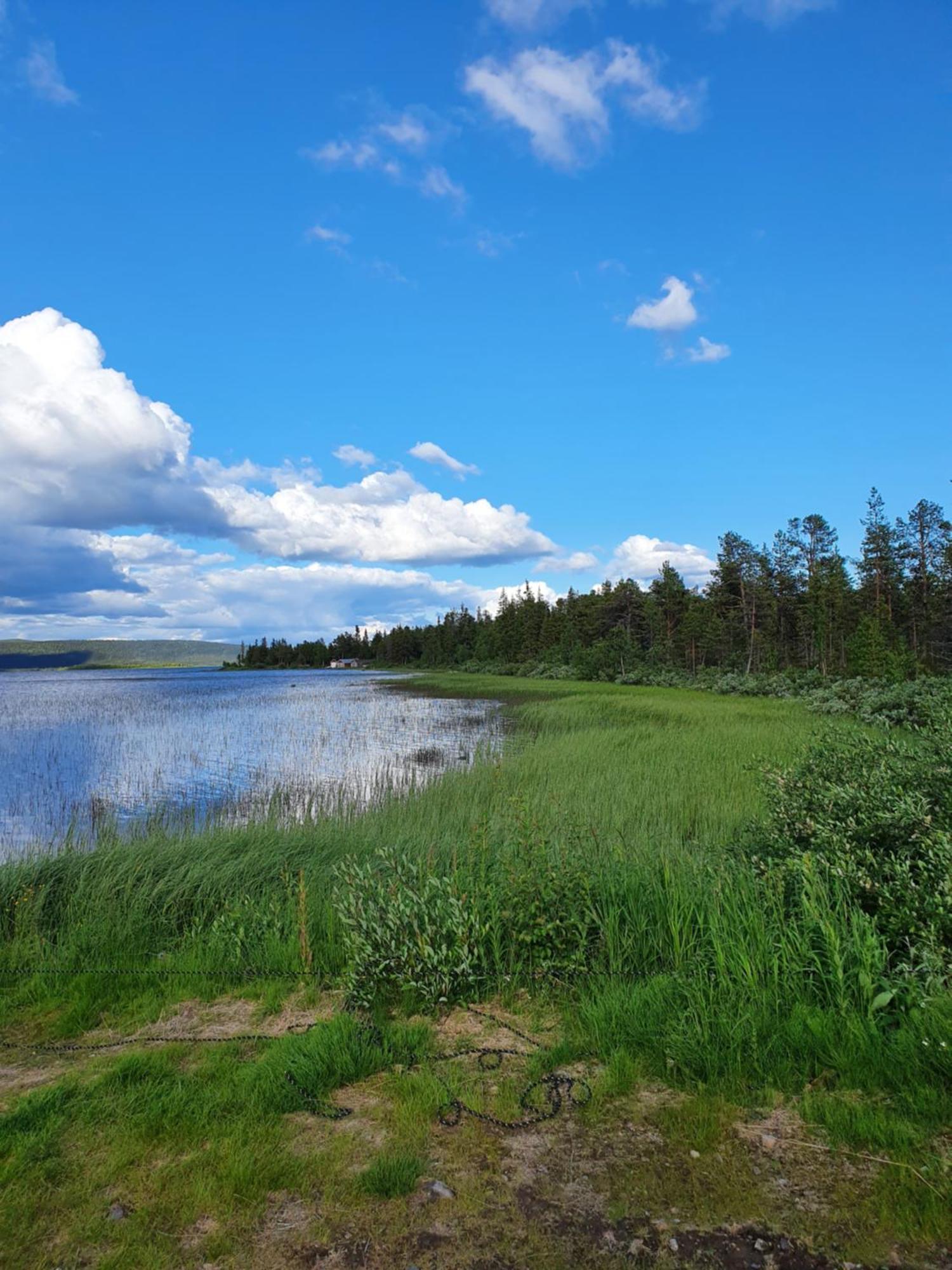 Camp Caroli Wooden Cabins Jukkasjärvi Exterior foto